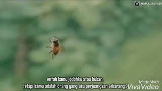 Download lagu Aku tak punya bunga aku tak punya harta mp3 Download lagu Aku tak punya bunga aku tak punya harta mp3