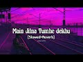 Main Jitna Tumhe Dekhu LoFi Remix Song Slowed Reverb Indian Lofi 76