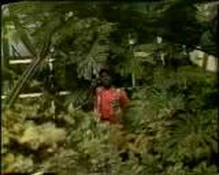 Kotto Bass-Na Si Ma Ka Pe