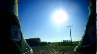 Street Dogs - Pedestal