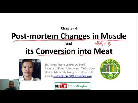Chế biến thịt c04-01 biến đổi trong cơ thịt sau giết mổ
