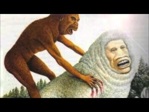 Oraculo 13 20 - Aokigahara Forest