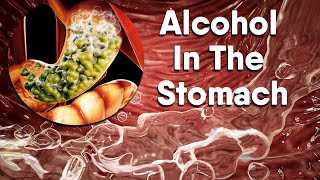 Alcohol increases acid in the stomach| Dandelion Team