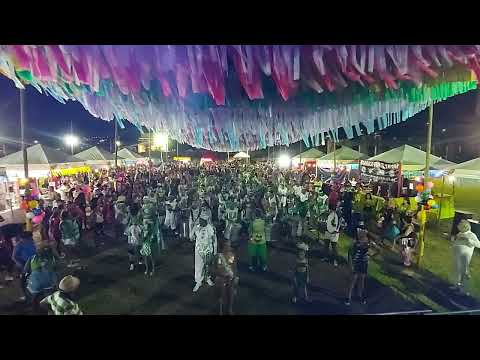 Bloco Verde e Branco. Carnaval de Volta Grande-MG.  2024