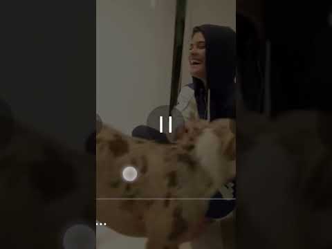 watching Logan Paul until I see clown behaviour 🤡