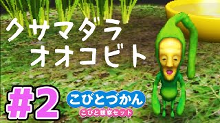 【こびとづかん】3DS こびと飼育セット 実況プレイ #2｜EggGAMES