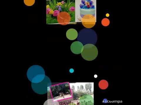 Yashshree kings birthday celebrations