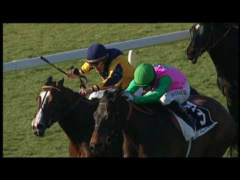 2018-02-11 corsa 2 metri 2200 Premio Società Italiana di Mascalcia