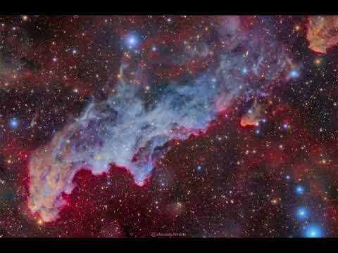 IC 2118: The Witch Head Nebula