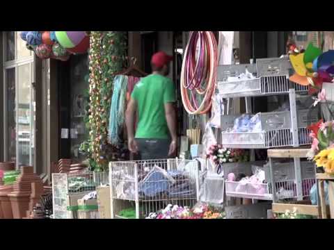 Enzo Salvi-va va va-nuovo tormentone estate 2014