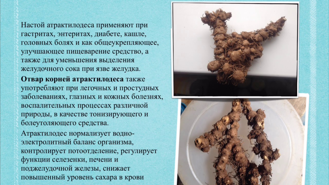 медопродукция и дикоросы