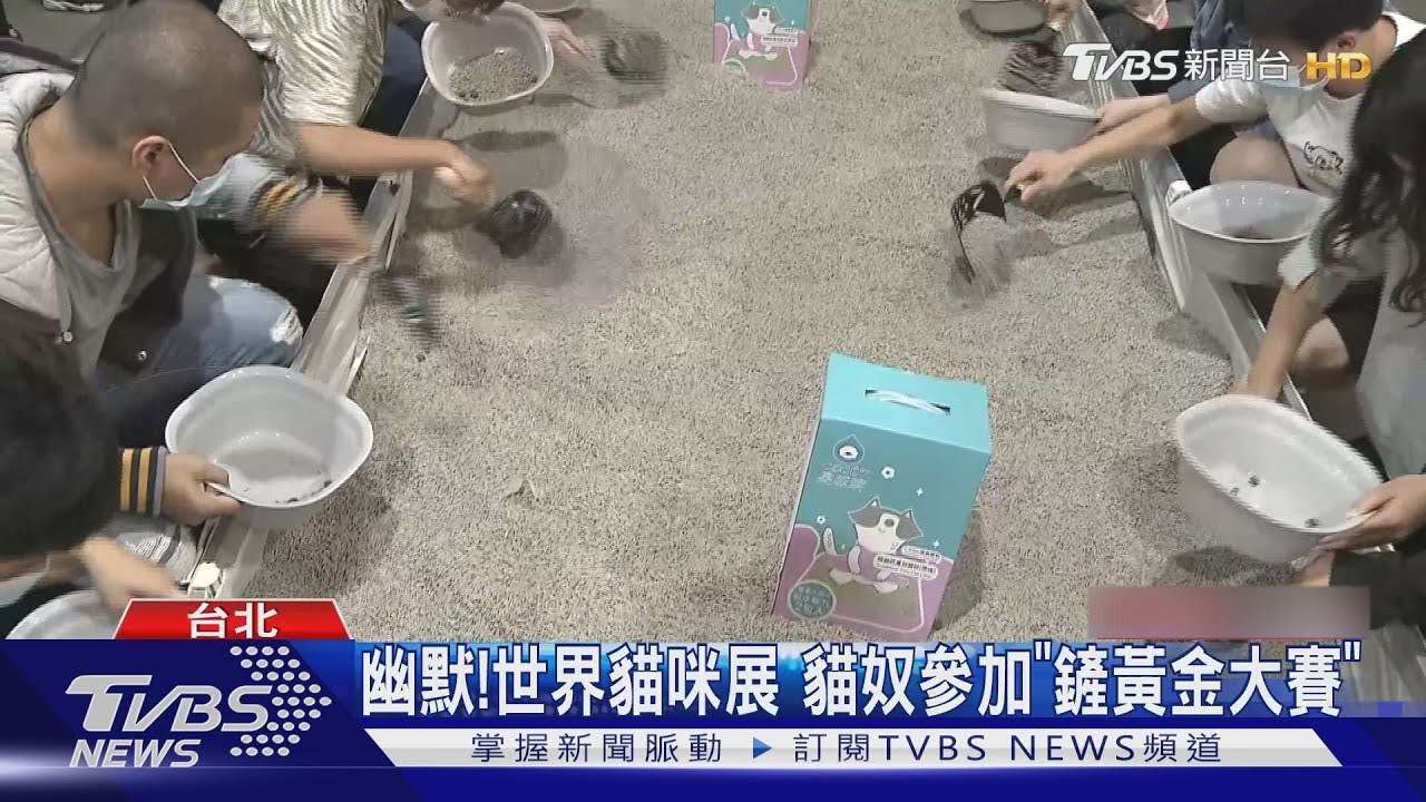 幽默！ 「鏟屎官大賽」登場貓奴搶報名　4萬人朝聖貓咪博覽會