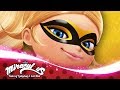 MIRACULOUS | 🐝 QUEEN BEE - COMPILATION 🐞 | Tales of Ladybug and Cat Noir