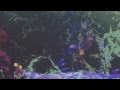 Lemolo - "Letters" (Official) 