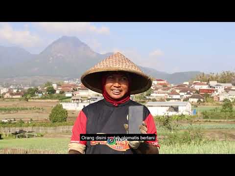Bertani, Nyeni (Selamat Hari Tani Nasional 2024)