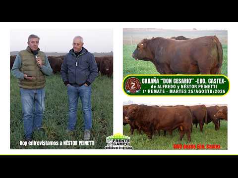 NÉSTOR PEINETTI -CABAÑA "DON CESARIO" - EDUARDO CASTEX -L.P.-
