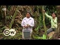 Ecuador: Feast à la Amazon | DW English