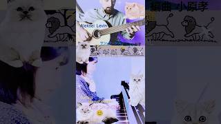 Download lagu #ライオンの大行進#サンサーンス 編曲小原孝　byREAL #short mp3