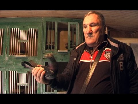 SKUPŠTINA GOLUBARA BARAJEVA SRB SAVEZA