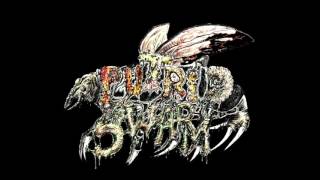 Putrid Swarm - Disgusting Necrocest