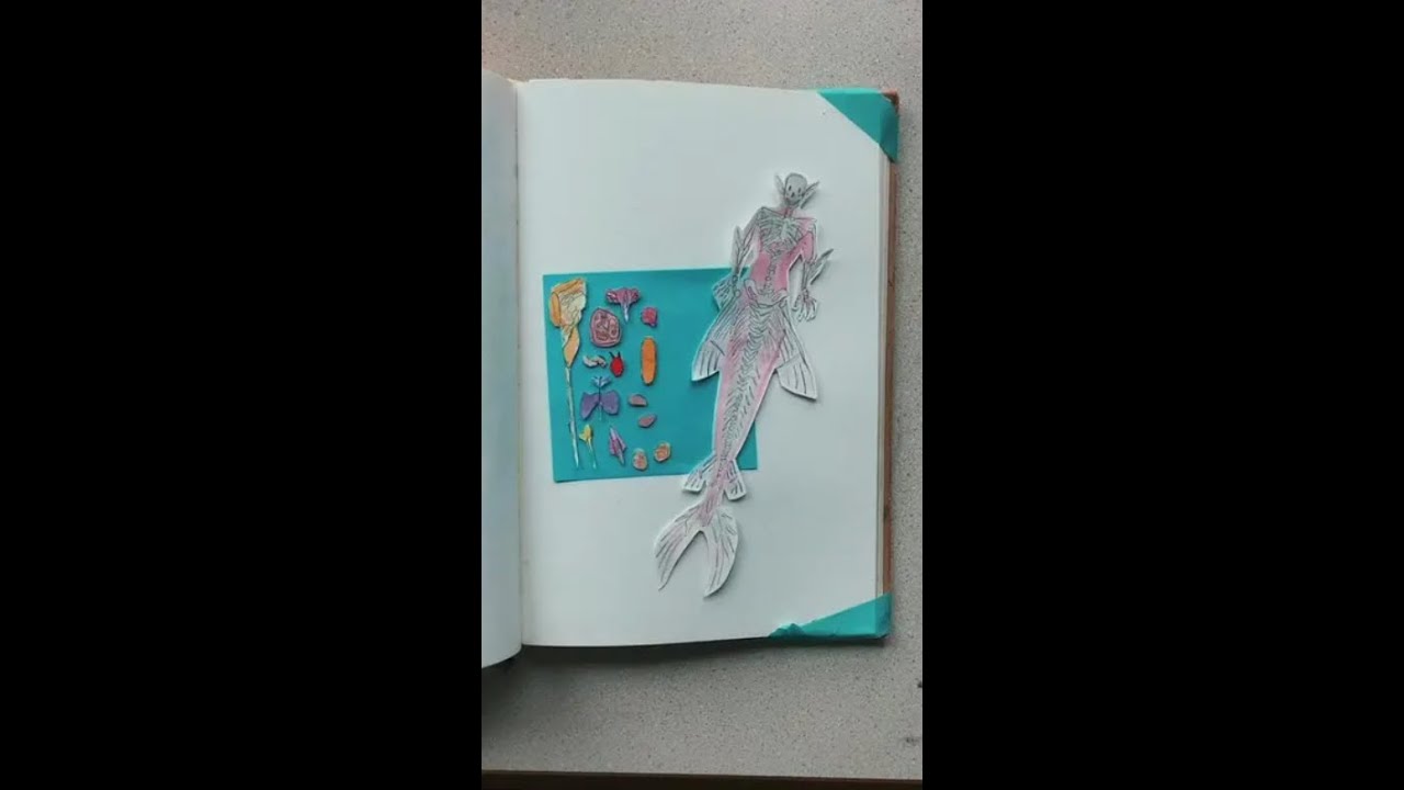 Unit 3: Organs and Muscles