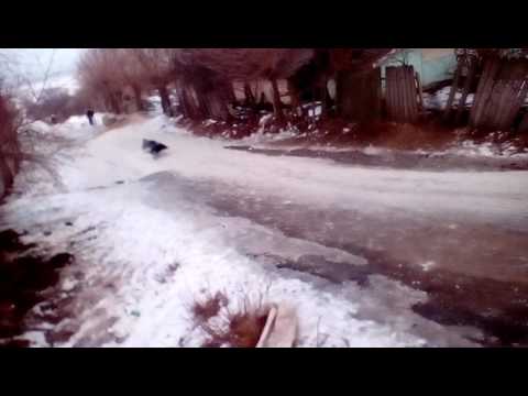 Cu sania la Chersacosu Partea I. !!!