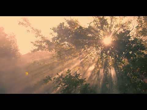 Holy Great Monastery of Vatopedi - Nature