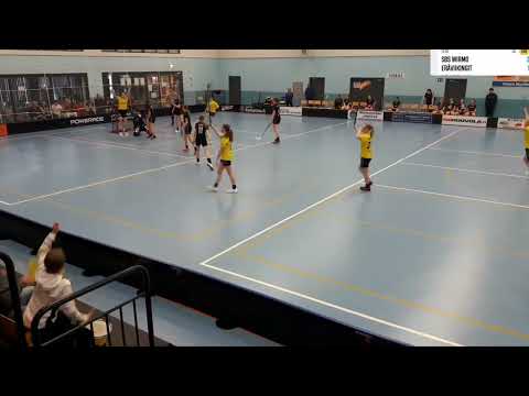 T16: 2. PVE SBS Wirmo - EräViikingit 9.4.2023 maalikooste