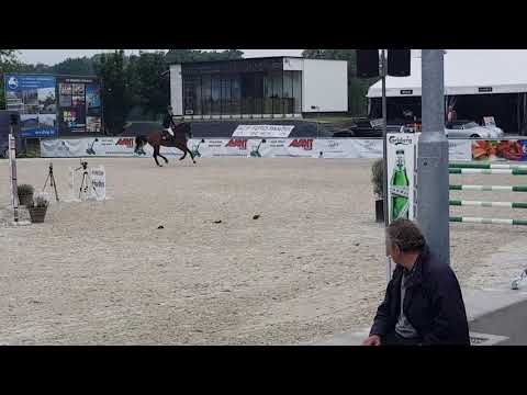 Ottorongo - 5yo Final CSI2* Bonheiden