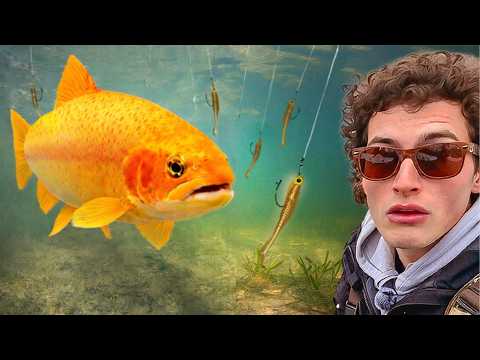 I Spent 72 Hours Hunting a Mythical Fish!