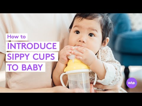 When can babies use a sippy cup? transition tips + more! = what to expect
