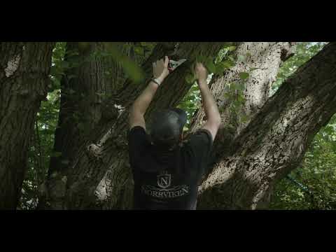 Norrvikens Trädgårdar – Japanska trädgården