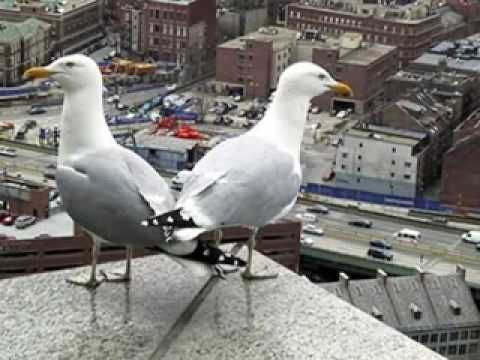 Mere Maula Karam ho Karam...............