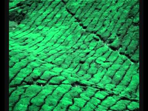 Harrison Birtwistle: An imaginary landscape (1971)