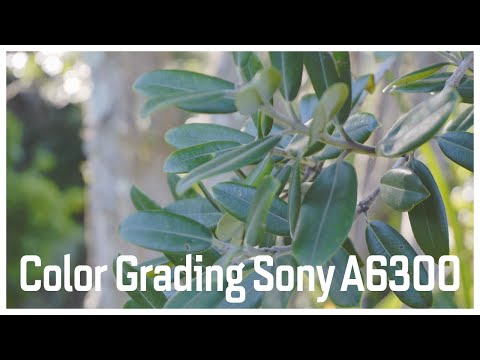 Color Grading ~ Sony A6300