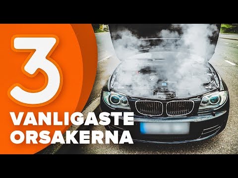 Orsaker till överhettning av motorn | AUTODOC tipsar