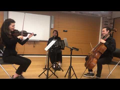 Joseph Haydn - the london trios for two flutes and violloncello
