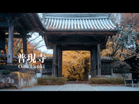 【大分の絶景/2024秋】普現寺/お寺と約200本の紅葉#japantravel #旅行 #fx3 #cinematic