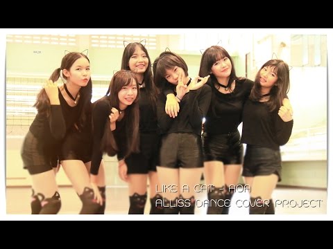 Like a Cat - AOA 【ALLISS Dance Cover】
