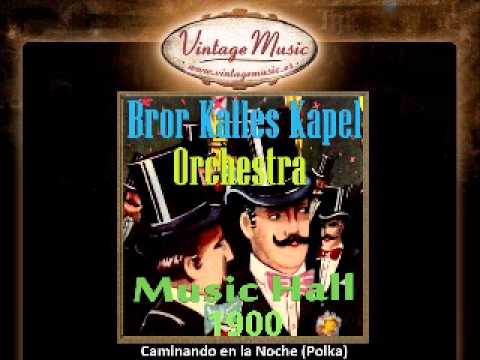 Bror Kalles Kapel Orchestra -- Caminando en la Noche (Polka)