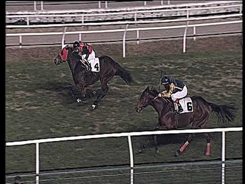 Galoppo 02/01/2019 - 6ª corsa - TRIS