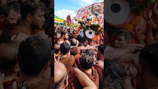 Jagannath Rath Yatra Story🚩 #shorts #rathyatra2023 #jagannath #hindu