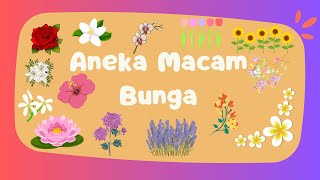 Download lagu Jelajahi Keindahan Bunga : Belajar Mengenal Jenis Tumbuhan Bunga dengan gambar mp3