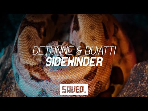 Detunne & Buiatti - Sidewinder