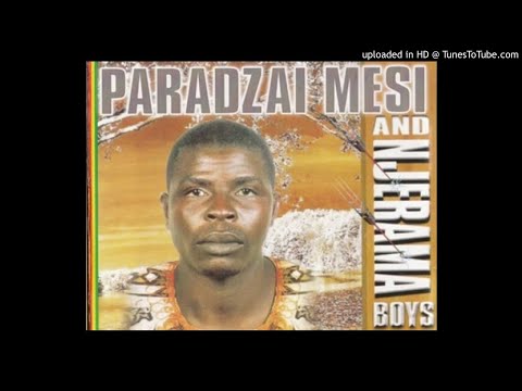 Paradzai Mesi - Mhinduro