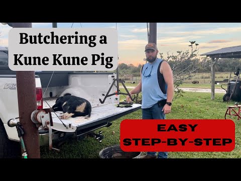 Pig Processing (Skinning/Gutting/Dividing)