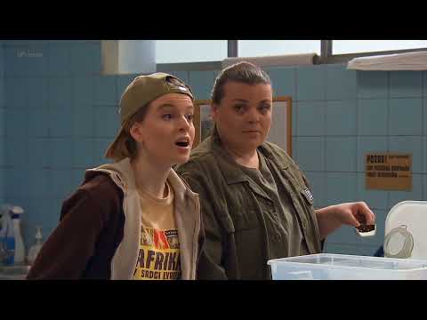 Sidam - Sid odpálkuje Adama Hrušku (40 díl)