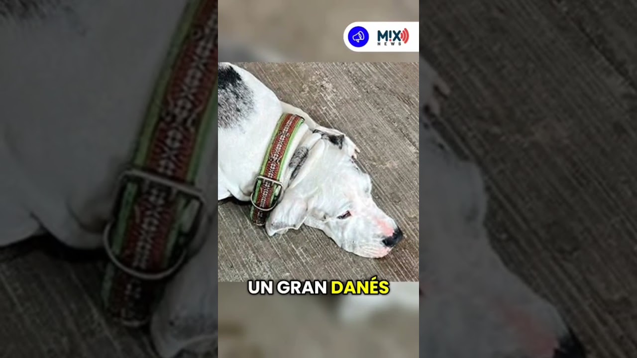 😭 No todo estaba perdido…