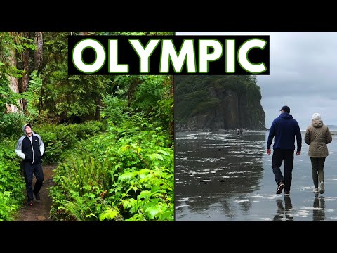 4 Essential Stops at Olympic National Park in Washington