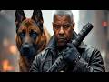 The Equalizer 4 Denzel Washington 2026 Blockbuster Full Movie Fact And Review Action Movies